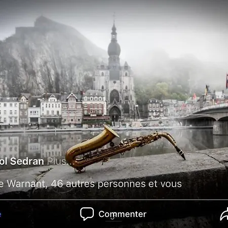 Les Voisins De Mr Sax בית הארחה דינאן