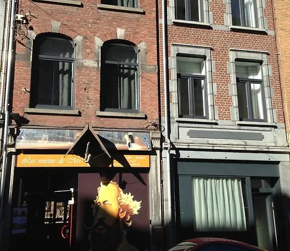 Les Voisins De Mr Sax Maison d'hôtes Dinant