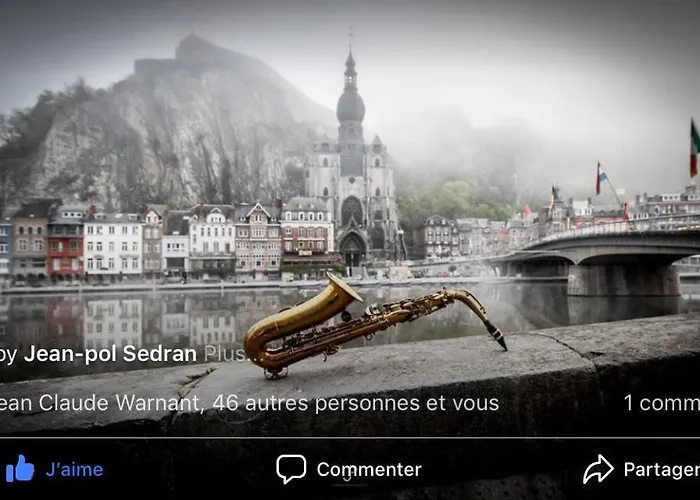 Les Voisins De Mr Sax Maison d'hôtes Dinant